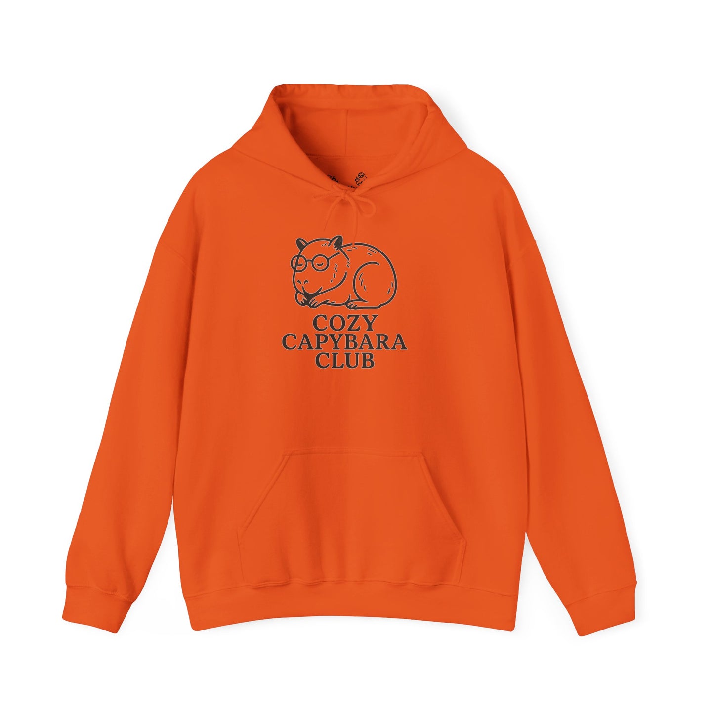 Cozy Capybara Hoodie | Unisex Hoodie for Animal Lovers | Gift for Friends | Chill Vibes | Perfect for Cozy Nights, Birthdays, Parties
